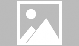 龙族动漫,热血青春，龙族少年们的奇幻冒险之旅